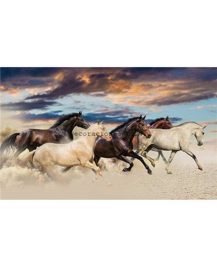 Murales Photomurals II Ref. M-2964VE-MEDIDAS DISPONIBLES