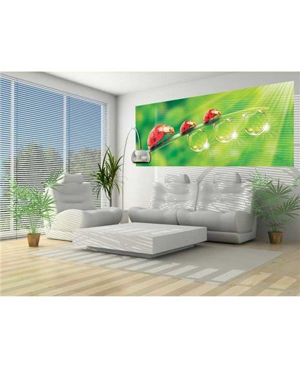 Murales Photomurals II Ref. M-121VE-MEDIDAS DISPONIBLES