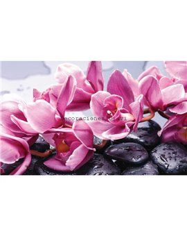 Murales Photomurals II Ref. M-1337VE-XL-2,08 X 1,46