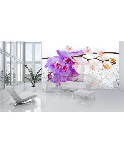 Murales Photomurals II Ref. M-869VE-L-1,52 X 1,04