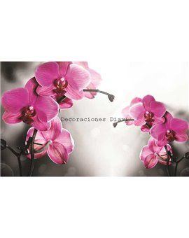 Murales Photomurals II Ref. M-1034VE-XXL-3,12 X 2,19