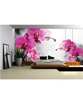 Murales Photomurals II Ref. M-1034VE-XXL-3,12 X 2,19