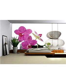 Murales Photomurals II Ref. M-652VE-XXXL-4,16 X 2,54