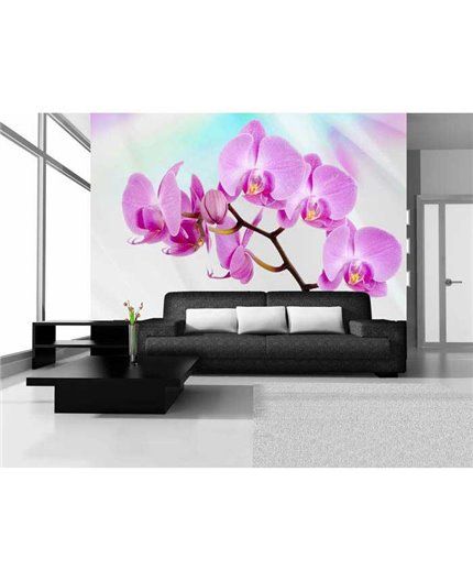 Murales Photomurals II Ref. M-116VE-MEDIDAS DISPONIBLES