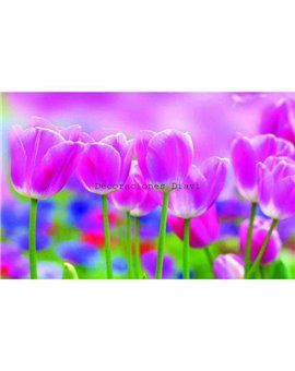 Murales Photomurals II Ref. M-273VE-M-1,04 X 0,7