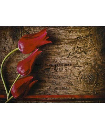 Murales Photomurals II Ref. M-272VE-MEDIDAS DISPONIBLES