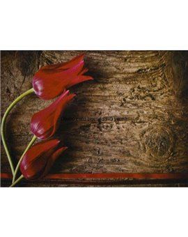 Murales Photomurals II Ref. M-272VE-XXL-3,12 X 2,19