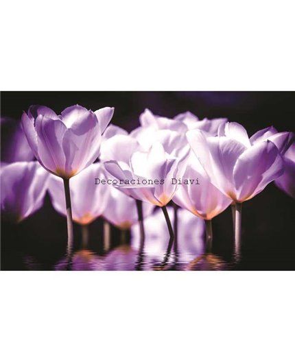 Murales Photomurals II Ref. M-1104VE-MEDIDAS DISPONIBLES