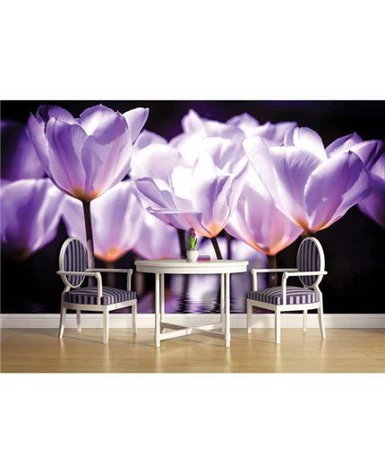 Murales Photomurals II Ref. M-1104VE-P8-3,68 X 2,54