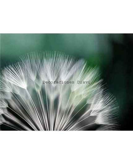 Murales Photomurals II Ref. M-292VE-MEDIDAS DISPONIBLES