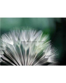 Murales Photomurals II Ref. M-292VE-L-1,52 X 1,04