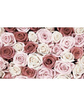 Murales Photomurals II Ref. M-1629VE-P8-3,68 X 2,54