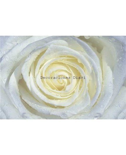 Murales Photomurals II Ref. M-663VE-MEDIDAS DISPONIBLES