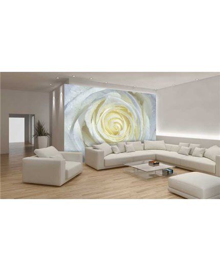 Murales Photomurals II Ref. M-663VE-MEDIDAS DISPONIBLES