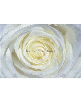 Murales Photomurals II Ref. M-663VE-M-1,04 X 0,7