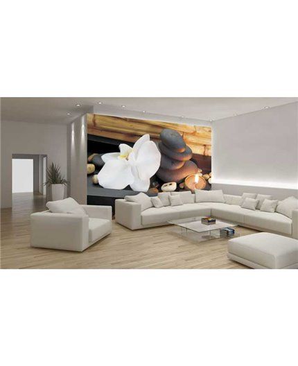 Murales Photomurals II Ref. M-050VE-MEDIDAS DISPONIBLES