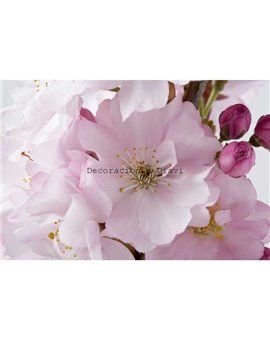 Murales Photomurals II Ref. M-8-020VE-XXL-3,12 X 2,19