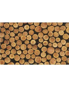 Murales Photomurals II Ref. M-1068VE-M-1,04 X 0,7