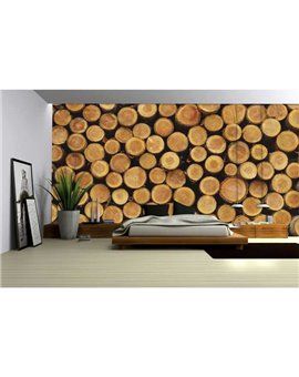 Murales Photomurals II Ref. M-1068VE-L-1,52 X 1,04