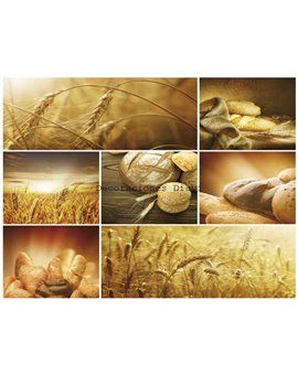 Murales Photomurals II Ref. M-103VE-XL-2,08 X 1,46