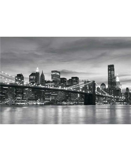 Murales Photomurals II Ref. M-011VE-MEDIDAS DISPONIBLES