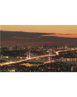Murales Photomurals II Ref. M-1066VE-XL-2,08 X 1,46