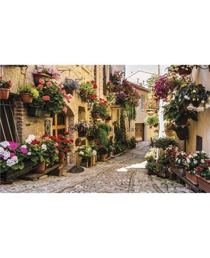 Murales Photomurals II Ref. M-1339VE-XXXL-4,16 X 2,54