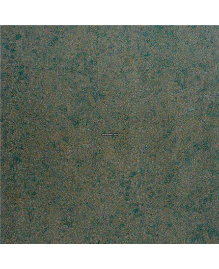 Papel Pintado Blossom Ref. B72350518 Papel Pintado Blossom Ref. B72350518