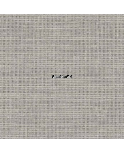 Papel Pintado Graphite - Casa Mia Ref. RM90917.