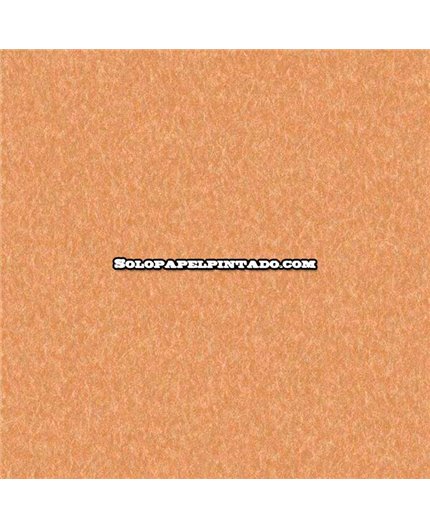 Papel Pintado Modern Impressions Ref. VD219164. Papel Pintado Modern Impressions Ref. VD219164.