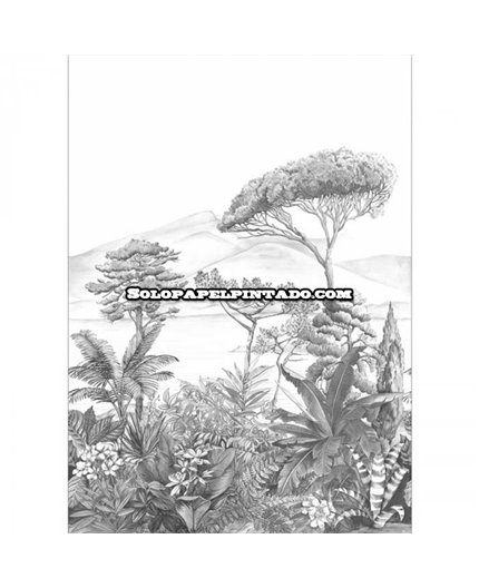 Mural Nos Gravures Ref. M-NGR-103050978.