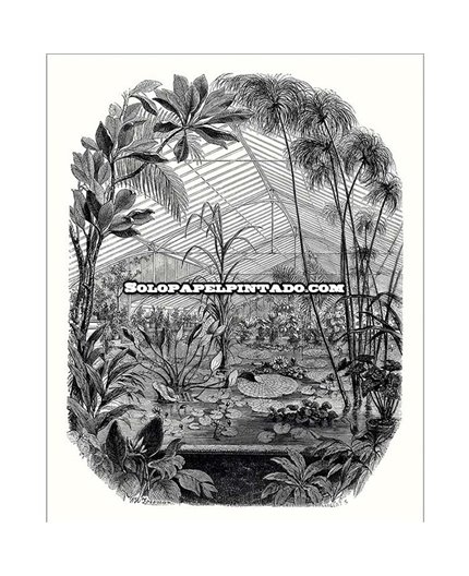 Mural BEAUTY FULL IMAGE 2 Ref. M-BFM-102399000.