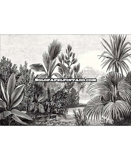 Mural BEAUTY FULL IMAGE 2 Ref. M-BFM-102609009.