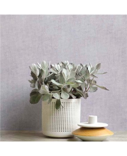 Papel Pintado So Color 4 Ref. SCOL-80920109.