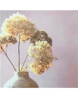 Papel Pintado So Color 4 Ref. SCOL-80921133.