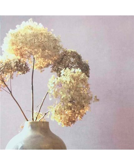 Papel Pintado So Color 4 Ref. SCOL-80921133.