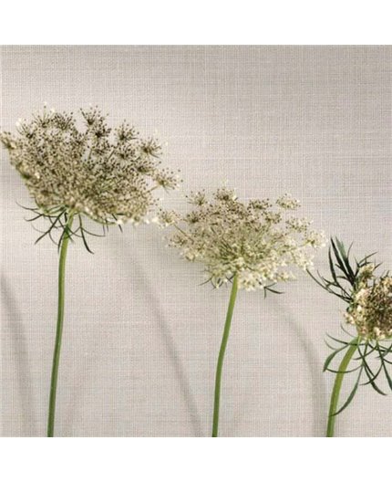 Papel Pintado So Color 4 Ref. SCOL-28416128.