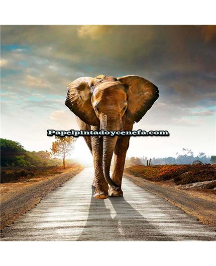 Mural Murales FDC 2021 Ref. M-2P-60003. Mural Murales FDC 2021 Ref. M-2P-60003.