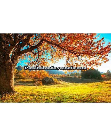 Mural Murales FDC 2021 Ref. M-1P-12001. Mural Murales FDC 2021 Ref. M-1P-12001.