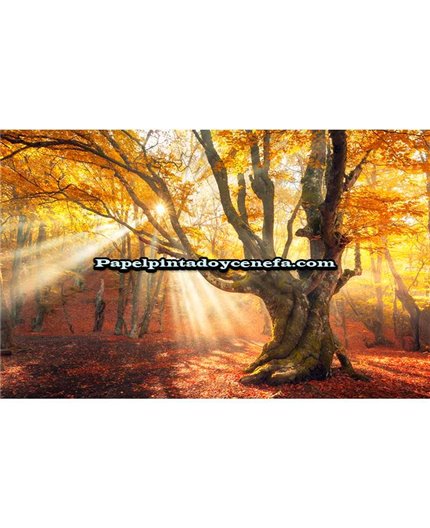 Mural Murales FDC 2021 Ref. M-1P-12002. Mural Murales FDC 2021 Ref. M-1P-12002.