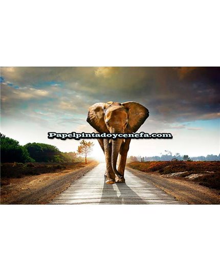 Mural Murales FDC 2021 Ref. M-1P-60003.