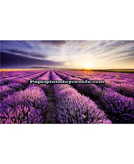 Mural Murales FDC 2021 Ref. M-1P-80007. Mural Murales FDC 2021 Ref. M-1P-80007.