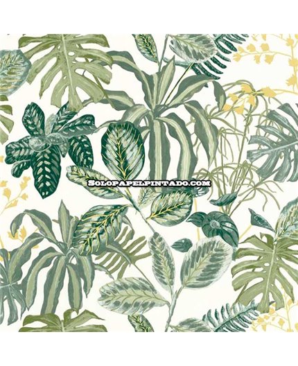 Papel Pintado GREEN & CO Ref. GCO-103897067.