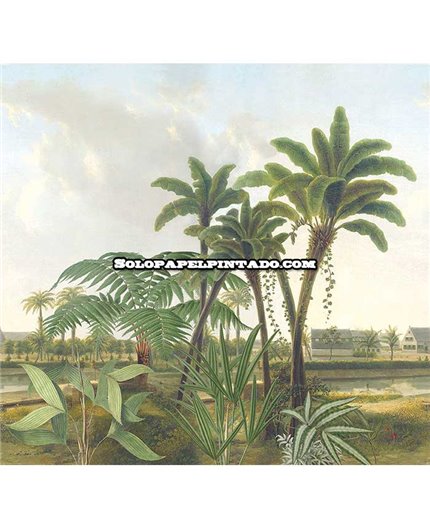 Mural TREASURES OF NATURE Ref. M-TD4251.