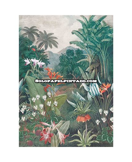 Mural TREASURES OF NATURE Ref. M-TD4258.