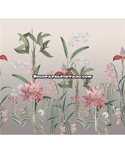 Mural TREASURES OF NATURE Ref. M-TD4281.