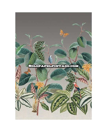 Mural TREASURES OF NATURE Ref. M-TD4282.