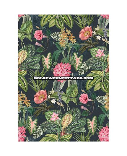 Mural TREASURES OF NATURE Ref. M-TD4289.