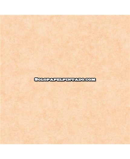 Papel Pintado BETON 2 Ref. BTO-101481674.