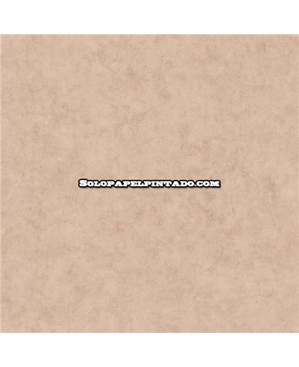 Papel Pintado BETON 2 Ref. BTO-101482213.